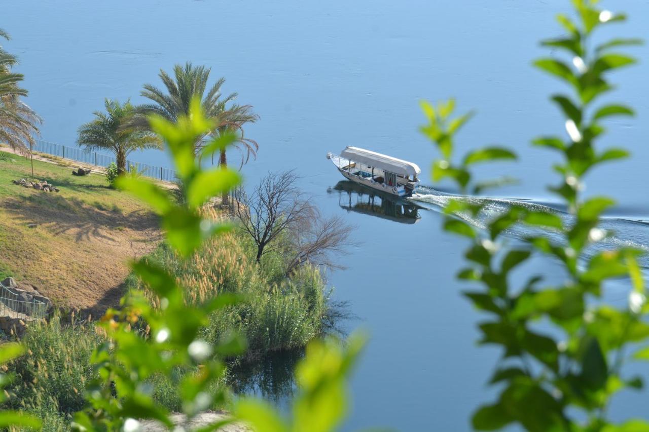 Aswan Nile Palace المظهر الخارجي الصورة